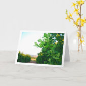 Carte Oranges vertes dans l'arbre (Fleur jaune)