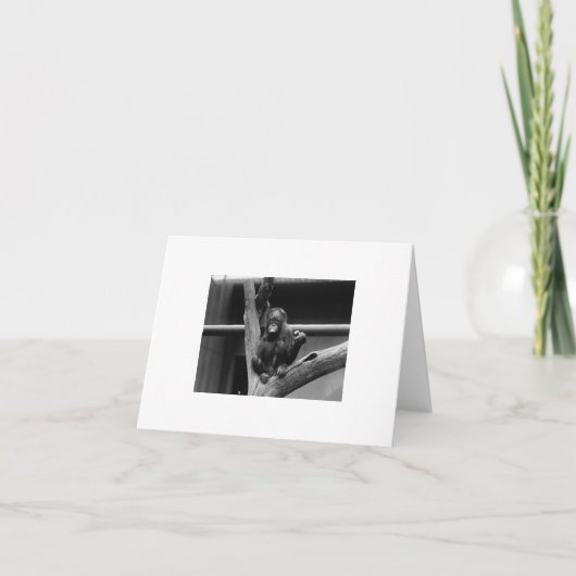 Carte orangoutan (Devant)