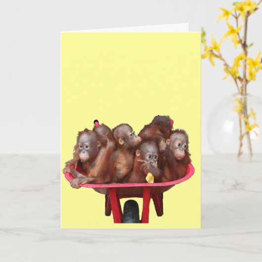 Carte orangs-outans (Fleur jaune)