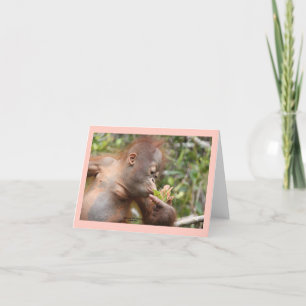 Carte Orangutan infantile avec fleur tropicale