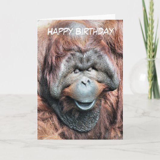 CARTE ORANGUTANS (Devant)