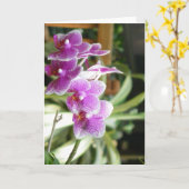 Carte orch greting card flower (Fleur jaune)