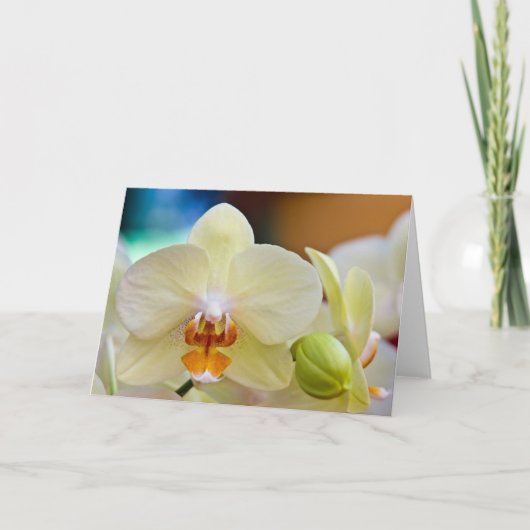 Carte Orchid (Devant)