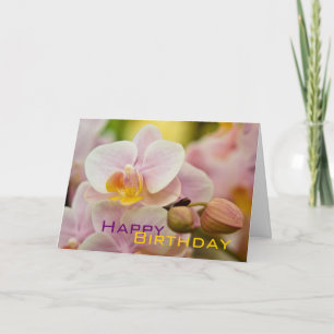 Carte Orchid