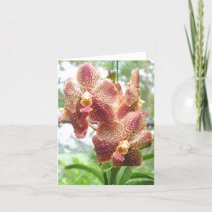 CARTE ORCHID PEACH, JAUNE ET COULEUR MAGENTA