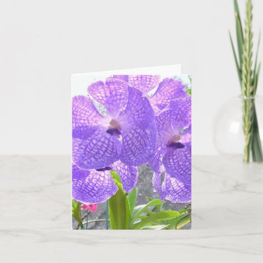 CARTE ORCHID PURPLE (Devant)