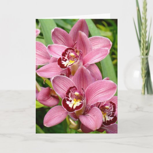 Carte Orchid twins (Devant)