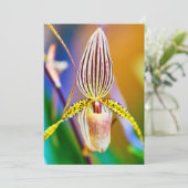 Carte Orchidée (Debout devant)