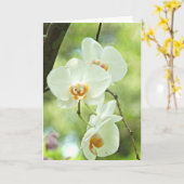 Carte Orchidée blanche (Fleur jaune)