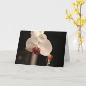 Carte Orchidée blanche et rose "Joyeux anniversaire !" S (Fleur jaune)