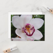 Carte Orchidée Blanche I Belle Fleur Tropicale (Devant/Arrière en situation)