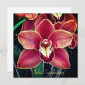 Carte Orchidée. Cymbidium (Devant / Derrière)