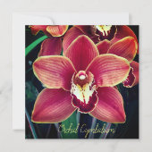 Carte Orchidée. Cymbidium (Devant)