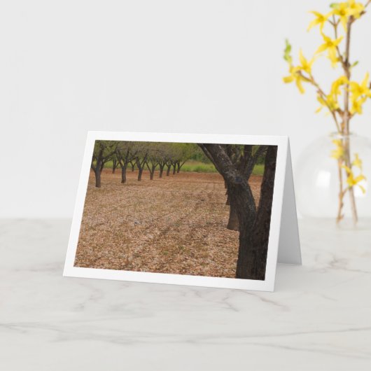 Carte Orchidée d'amandes (Fleur jaune)