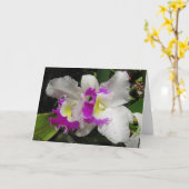 Carte Orchidée de Cattleya (Fleur jaune)