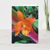 Carte Orchidée de Cattleya (Devant)