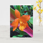 Carte Orchidée de Cattleya (Fleur jaune)