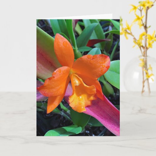 Carte Orchidée de Cattleya (Fleur jaune)