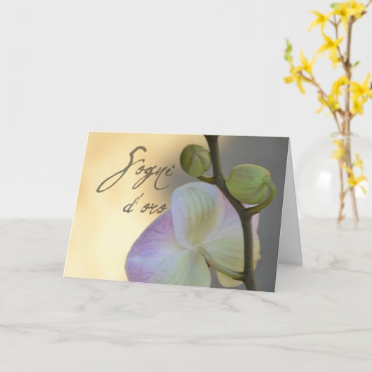 Carte Orchidée de Sogni d'oro (Fleur jaune)