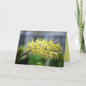 Carte Orchidée heureuse de Phalaenopsis d'anniversaire (Dos)