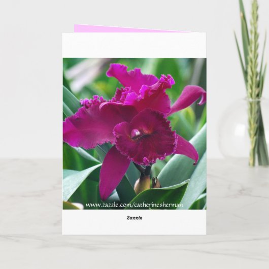 Carte Orchidée heureuse hawaïenne de Phalaenopsis du (Dos)