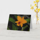 Carte Orchidée orange (Fleur jaune)