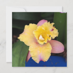 Carte Orchidée rose et jaune pastel