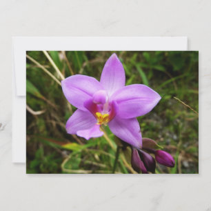 Carte Orchidée tropicale violette sauvage