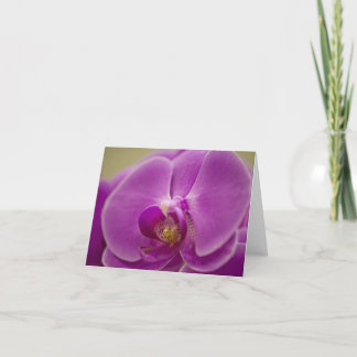 Carte Orchidée violette