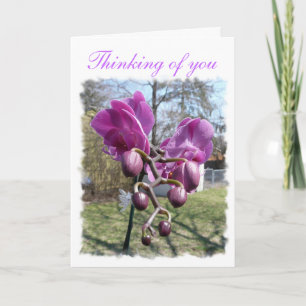 Carte Orchidée violette