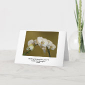 Carte Orchidées blanches (Dos)
