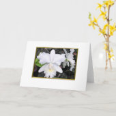 Carte Orchidées blanches croquantes en blanc louche de (Fleur jaune)