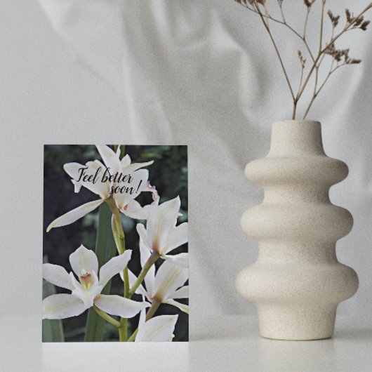 Carte Orchidées Blanches Fleurs Bon Rétablissement