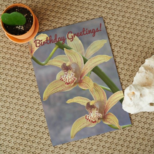 Carte Orchidées de Cymbidium Specké Anniversaire Floral