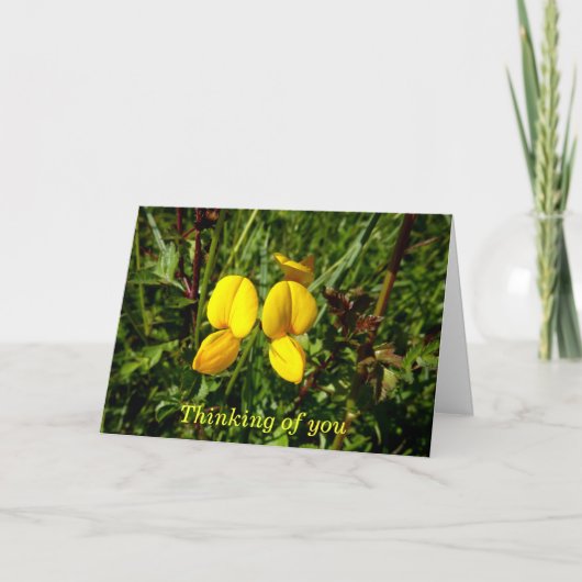 Carte Orchidées jaune sauvage (Devant)