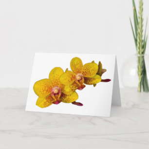 Carte Orchidées jaunes sur blanc