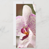 Carte Orchidées par Shirley Taylor (Dos)