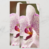 Carte Orchidées par Shirley Taylor (Devant / Derrière)