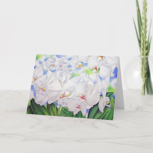 Carte Orchidées Phalaenopsis (Devant)