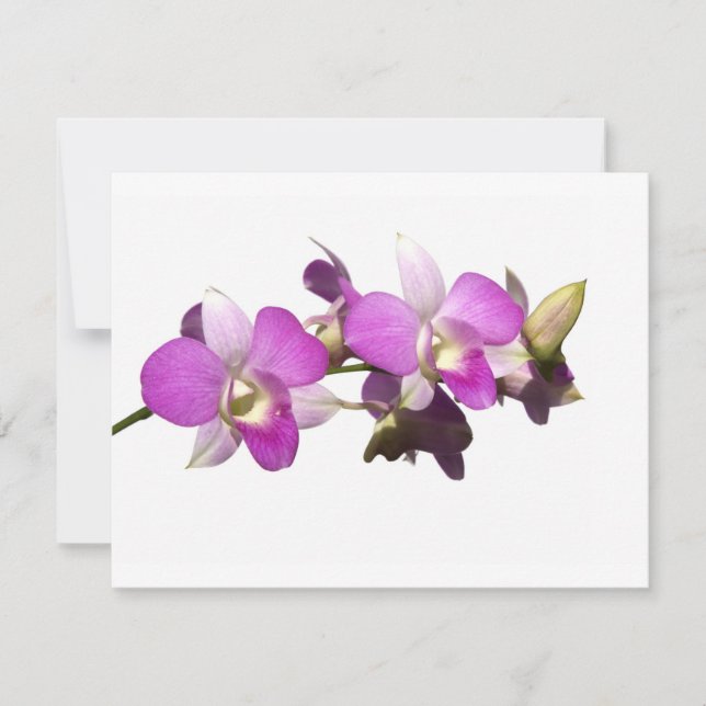 Carte Orchidées roses (Devant)