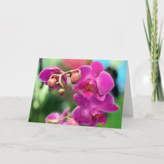 Carte Orchidées roses