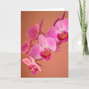 Carte Orchidées Roses