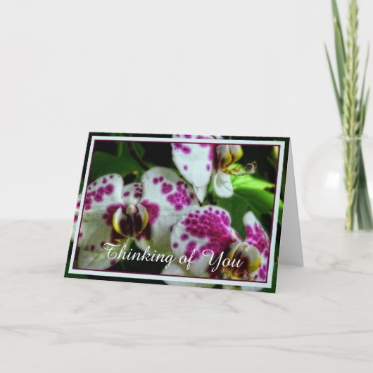 Carte Orchidées tachetées (Devant)