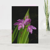 Carte Orchidées terrestres chinoises (Devant)