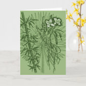 Carte Orchidées vertes (Fleur jaune)