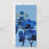 Carte Ordhidée bleue (Devant)