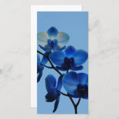 Carte Ordhidée bleue (Devant / Derrière)