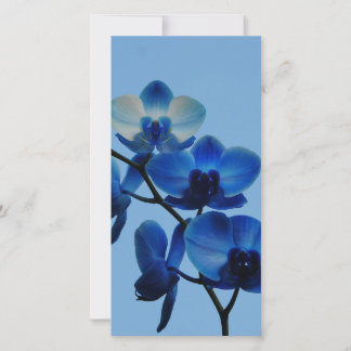 Carte Ordhidée bleue