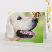 Carte Oreiller À Lancer Du Labrador Et Du Papillon (Fleur jaune)