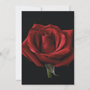 Carte oreiller rouge
